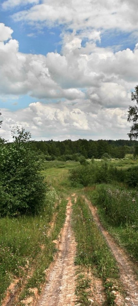 Опасная дорога