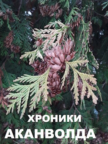 Хроники Аканволда, или Замок в Нескольких Измерениях