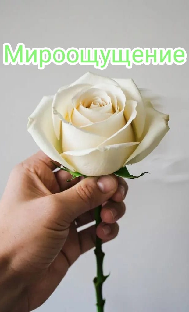 Мироощущение