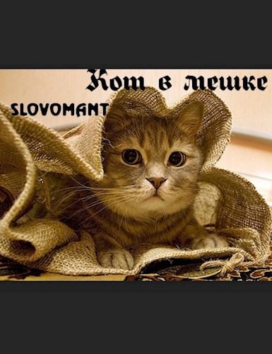 Кот в мешке