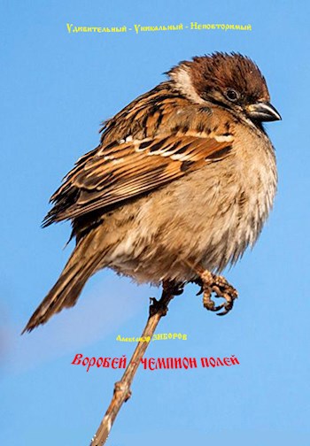 Воробей - чемпион полей