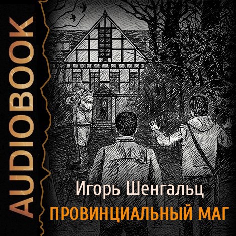 Провинциальный маг (Служба контроля 2) (Аудиокнига)