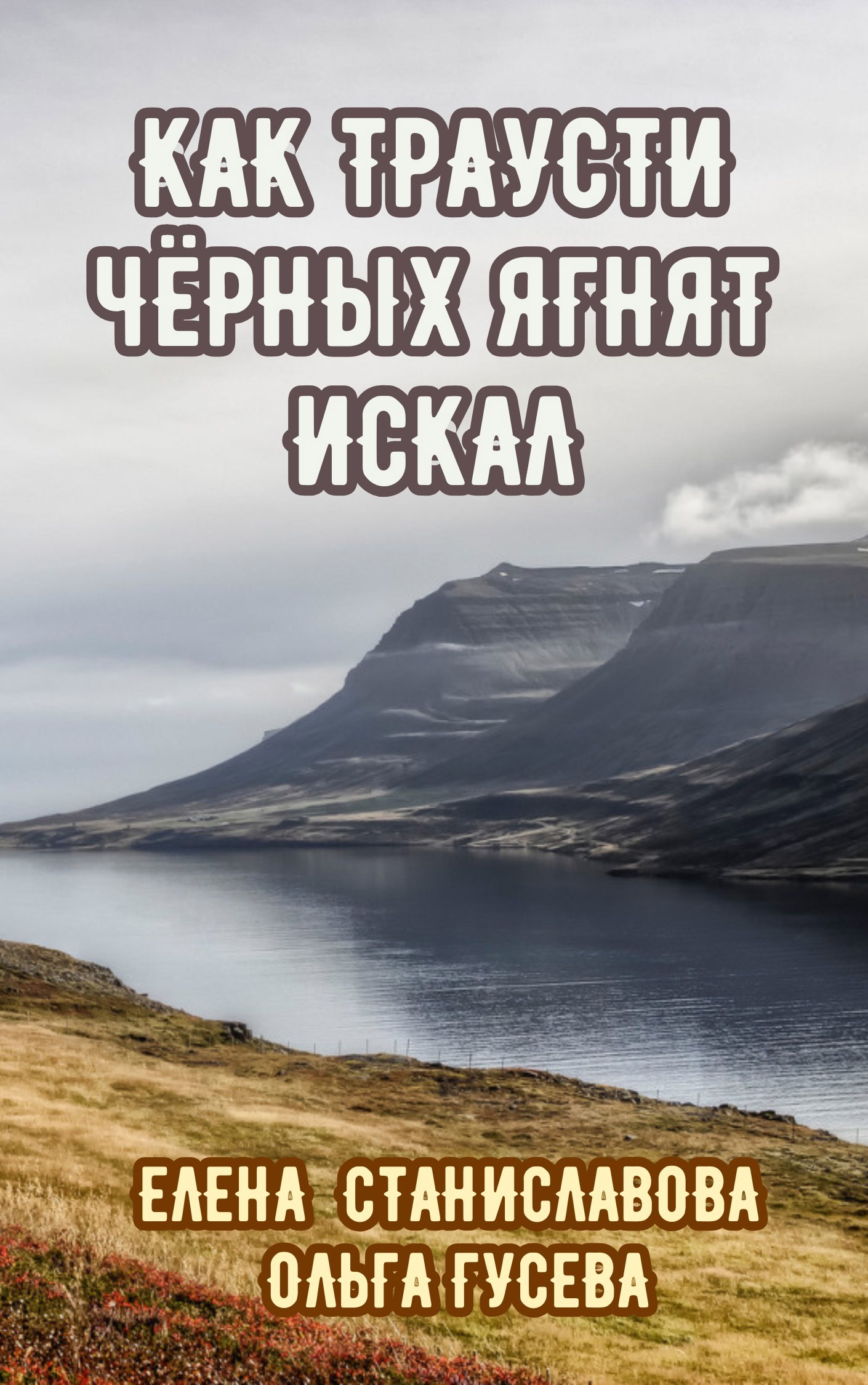 Как Траусти чёрных ягнят искал