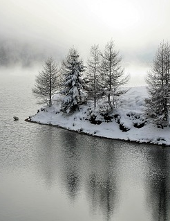 Лицо севера