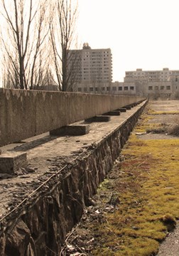Черна кость