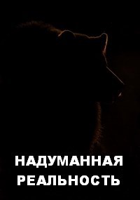 НАДУМАННАЯ РЕАЛЬНОСТЬ