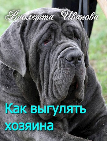 Как выгулять хозяина