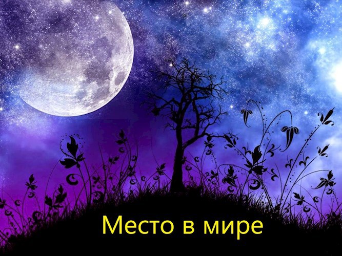 Место в мире