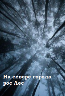 На севере города рос Лес