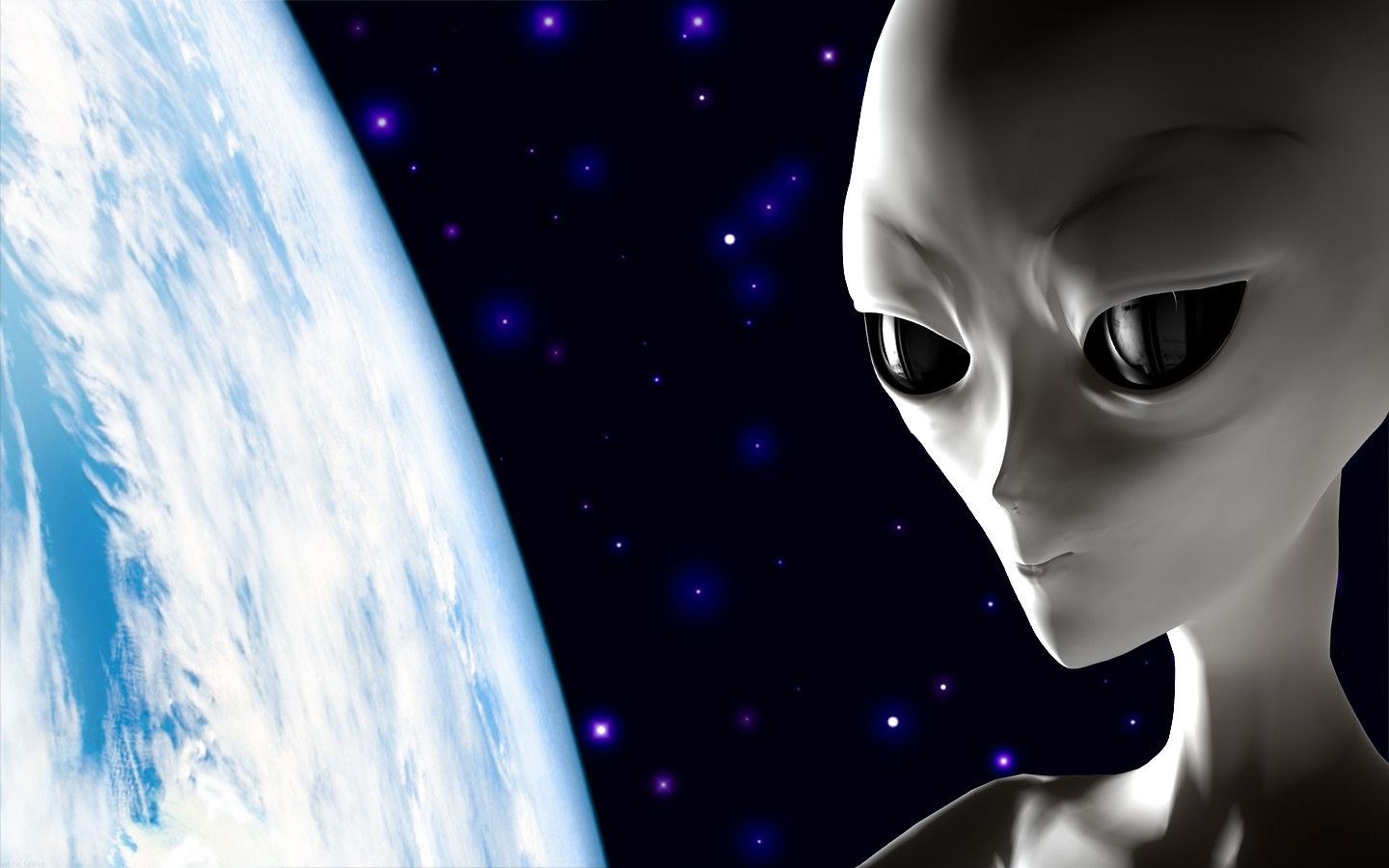 Надежда Координатора