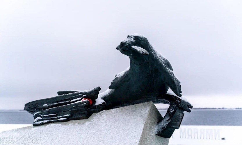 У Белого моря