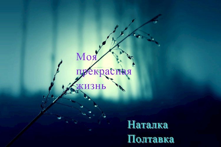 Моя прекрасная жизнь