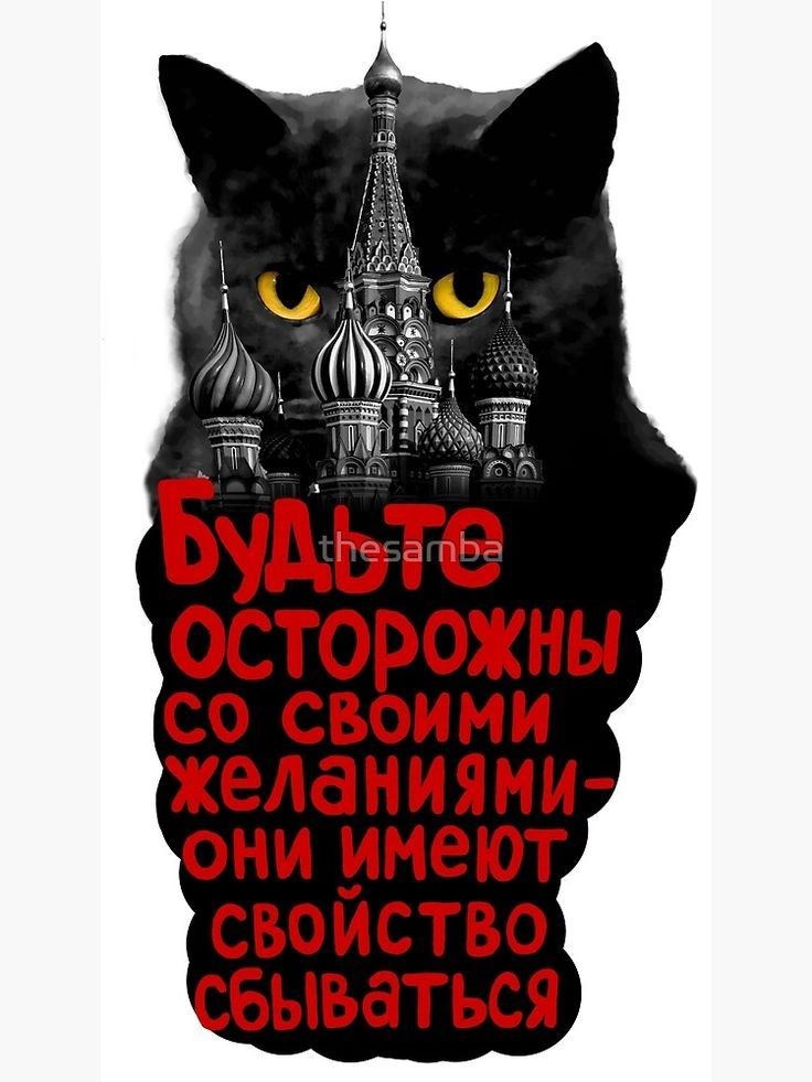 Stray cats Бродячие коты