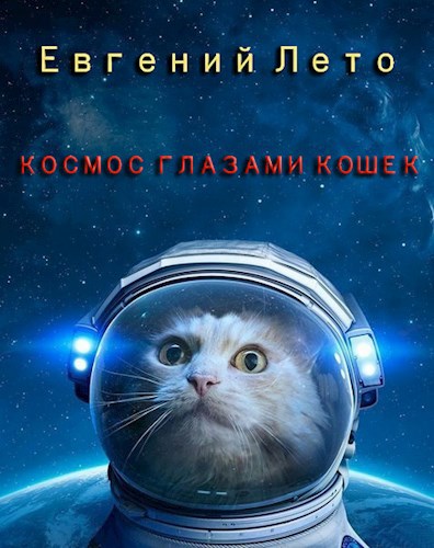 Космос глазами кошек