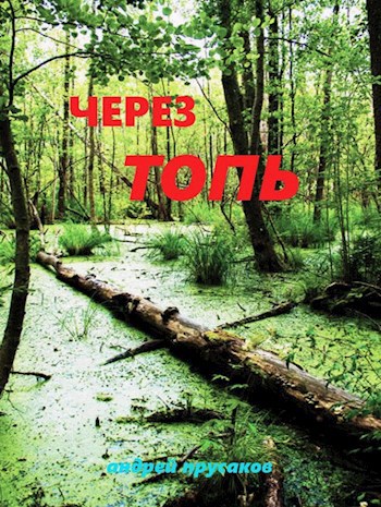 Через топь