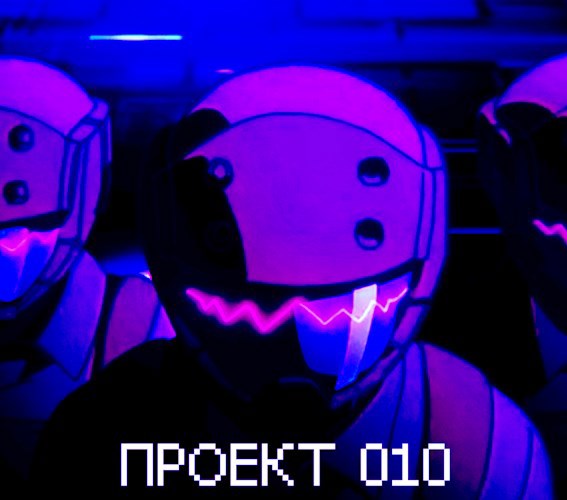 Проект 010