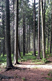 Центр мира