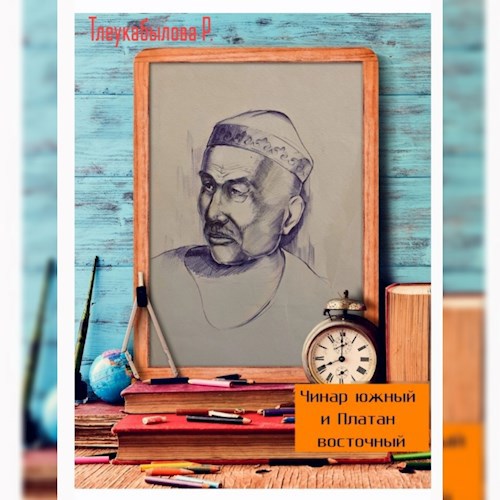 Чинар южный и Платан восточный