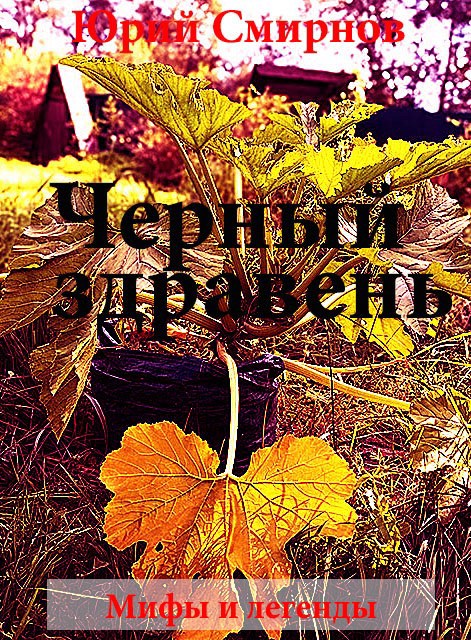 Черный ЗДРАВЕНЬ