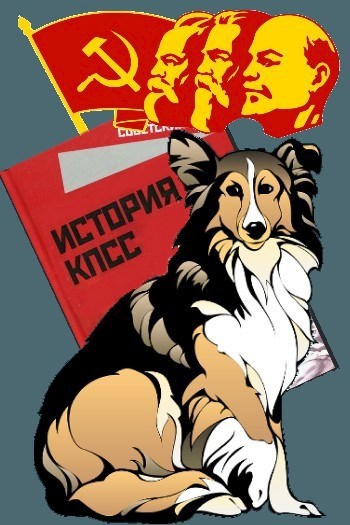 История породы колли в разрезе марксистско-ленинской методологии