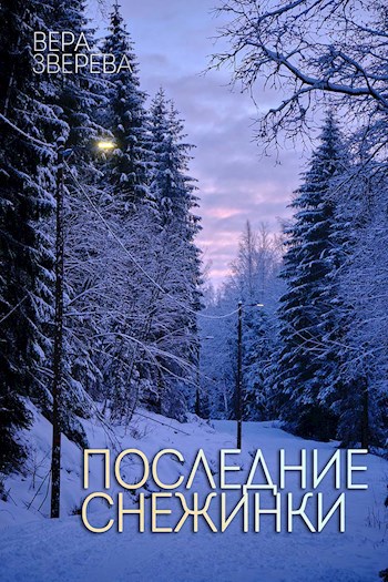 Последние снежинки