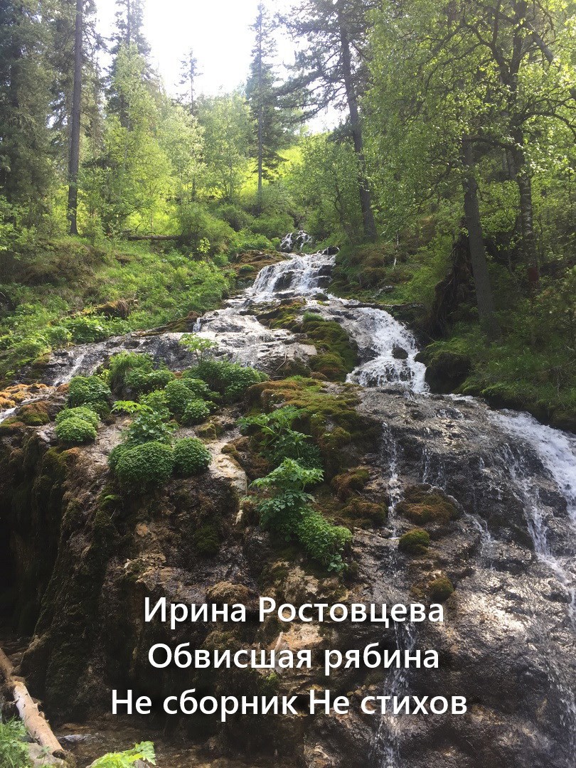 Обвисшая рябина. Не сборник Не стихов