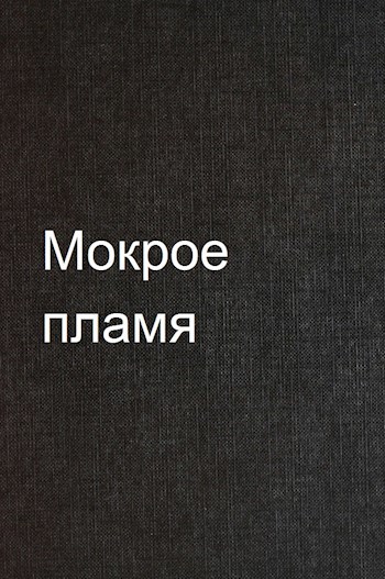 Мокрое пламя