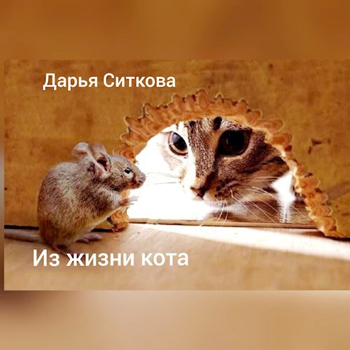 Из жизни одного кота