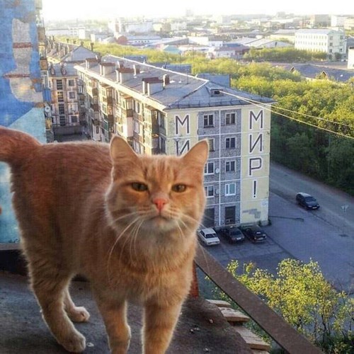 Неизбежность возмездия в Улан-Удэ