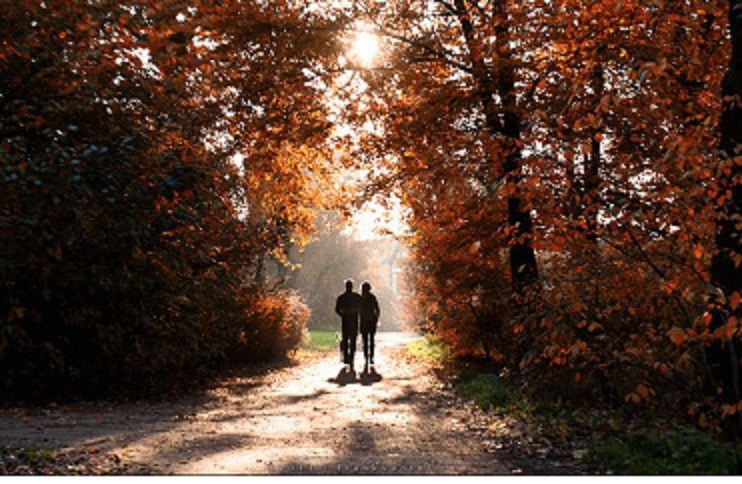 Другая жизнь