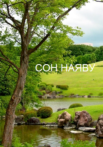 Сон наяву