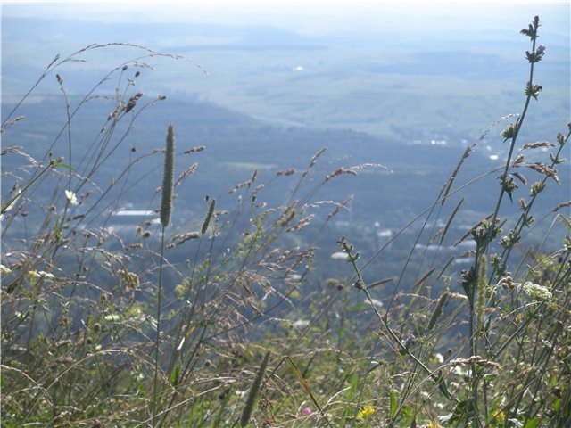 Самый сильный. Сказка