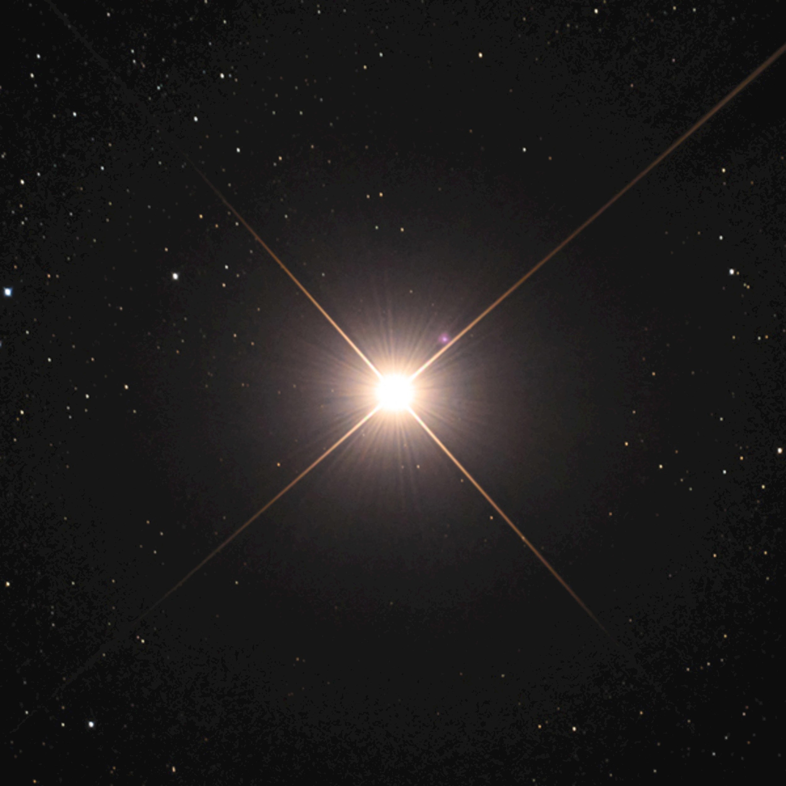 Чего боюсь кого люблю