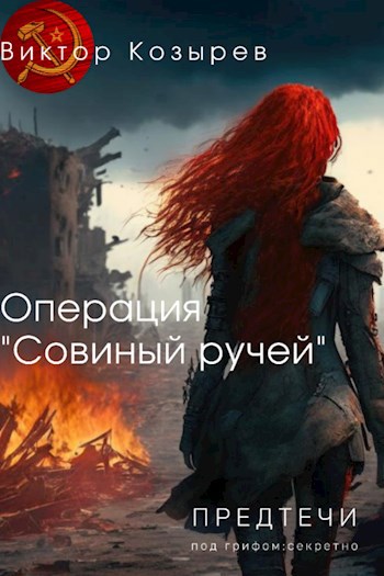 Операция «Совиный ручей»