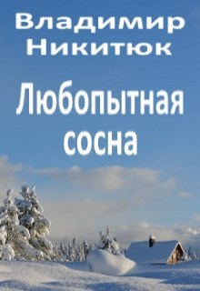 Любопытная сосна