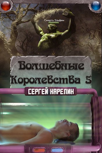 Волшебные Королевства 5