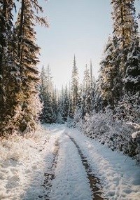 Зазеркальная Роскошь