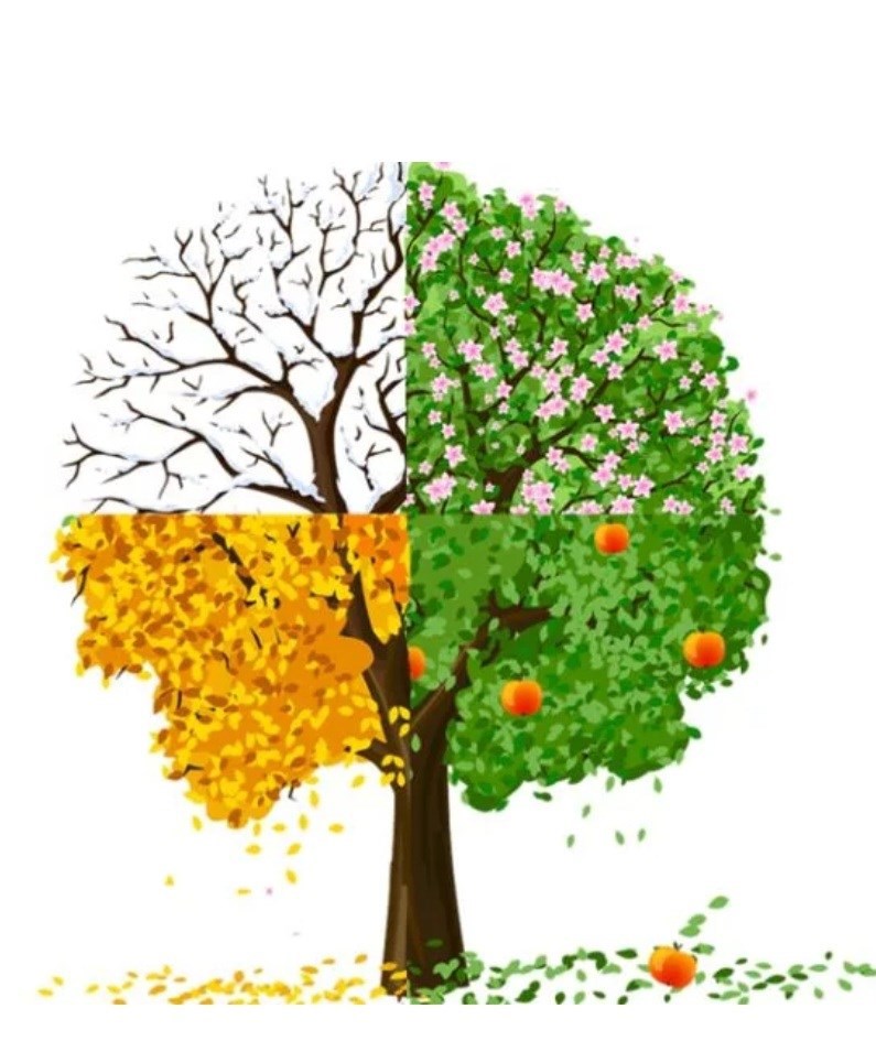 Времена года плюсы