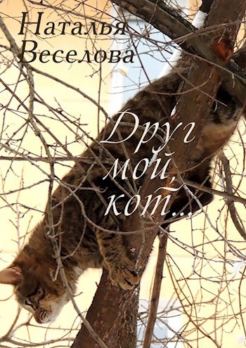 Друг мой, кот...