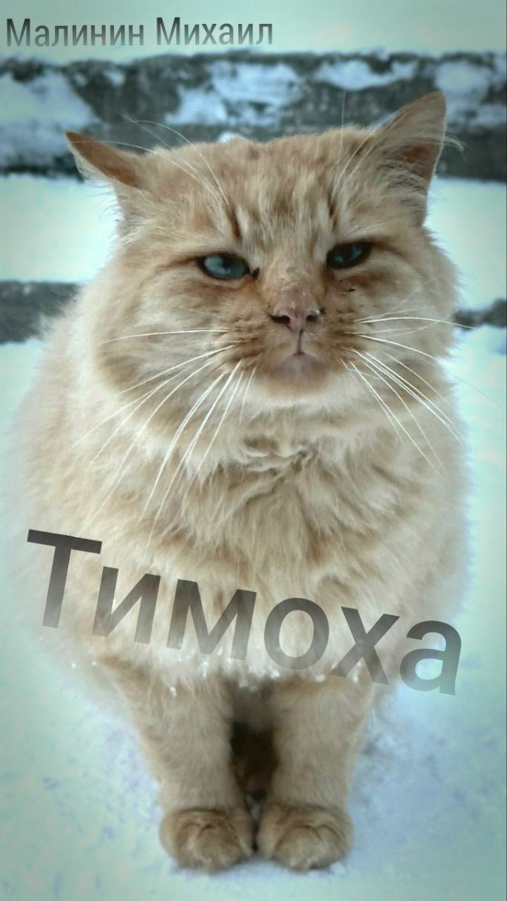 Тимоха