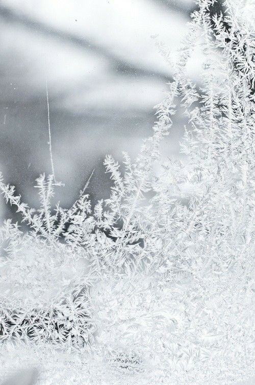 Принцессы и башни