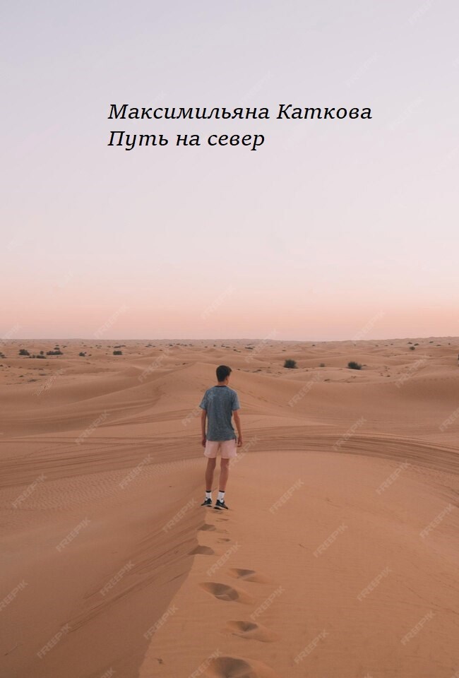 Путь на север