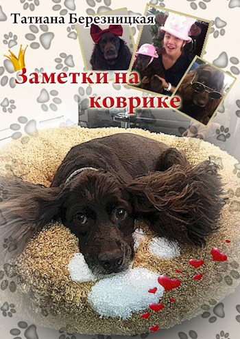 Заметки на коврике