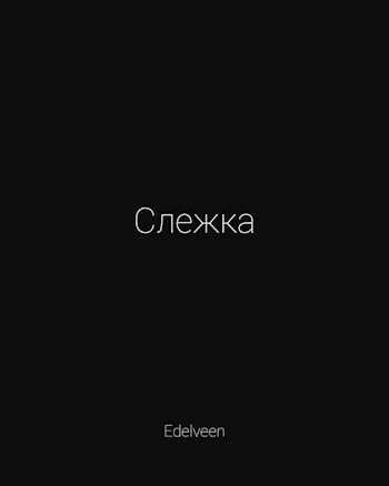 Слежка