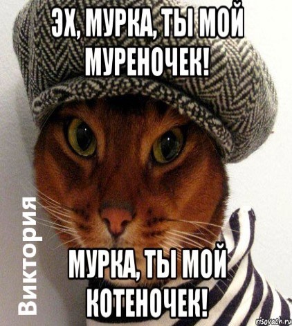 Мурка, ты мой мурёночек