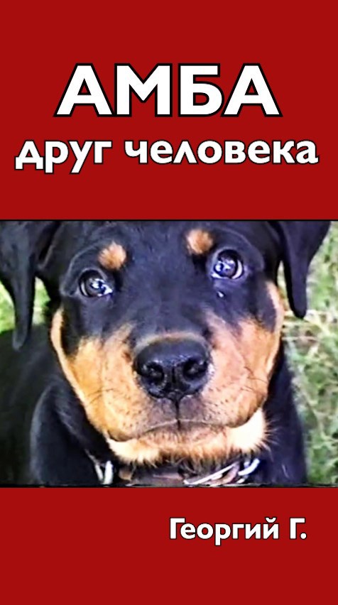 Амба, друг человека.