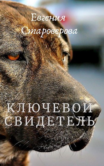 Ключевой свидетель