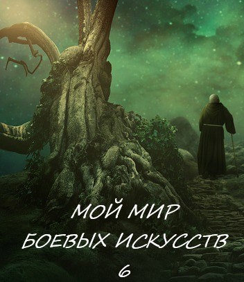 Мой мир боевых искусств 6