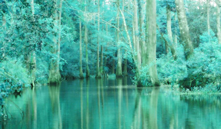 Лазурные сны