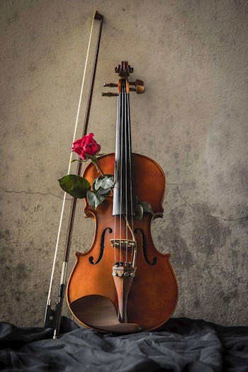 Жизнь в объятиях музыки История Флориана